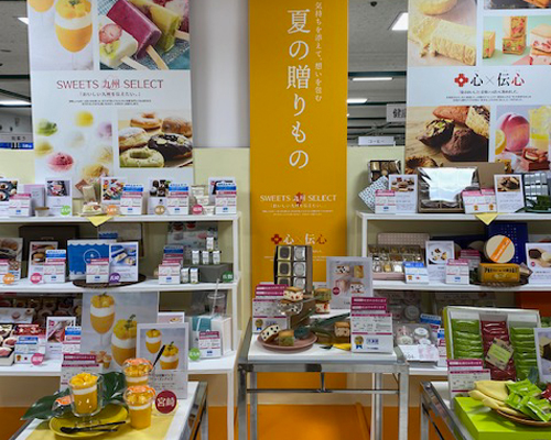 展示会　夏の贈り物